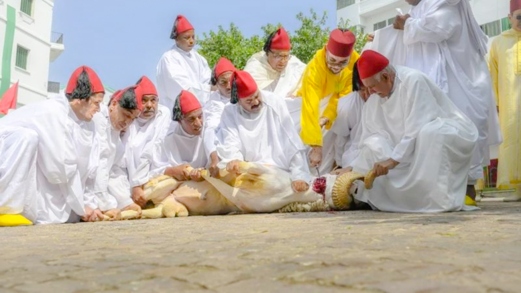 جريدة الاخبار 24 % - الملك يؤدي صلاة العيد و ينحر الأضحية بمسجد الحسن الثاني في تطوان