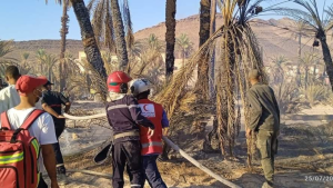 جريدة إلكترونية مغربية شاملة تتجدد على مدار الساعة. تقدم الجريدة  أخبارا متنوعة