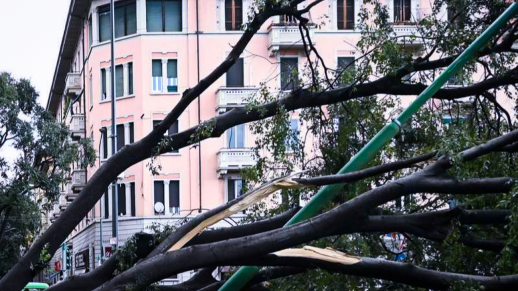 عواصف رعدية تضرب إيطاليا وتتسبب في تعطيل حركة المرور - 2026 جريدة الاخبار 24 % - عواصف رعدية تضرب إيطاليا وتتسبب في تعطيل حركة المرور