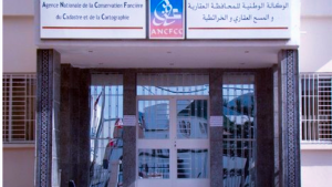 جريدة الاخبار 24 % - تنقيل وترقية في مناصب المسؤولية بالمحافظة العقارية