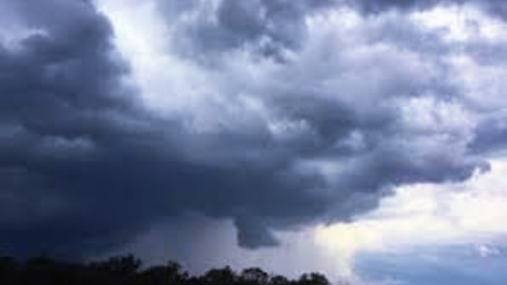 توقعات الأرصاد الجوية اليوم الخميس في مختلف مناطق المملكة . - 2026 جريدة الاخبار 24 % - توقعات الأرصاد الجوية اليوم الخميس في مختلف مناطق المملكة .