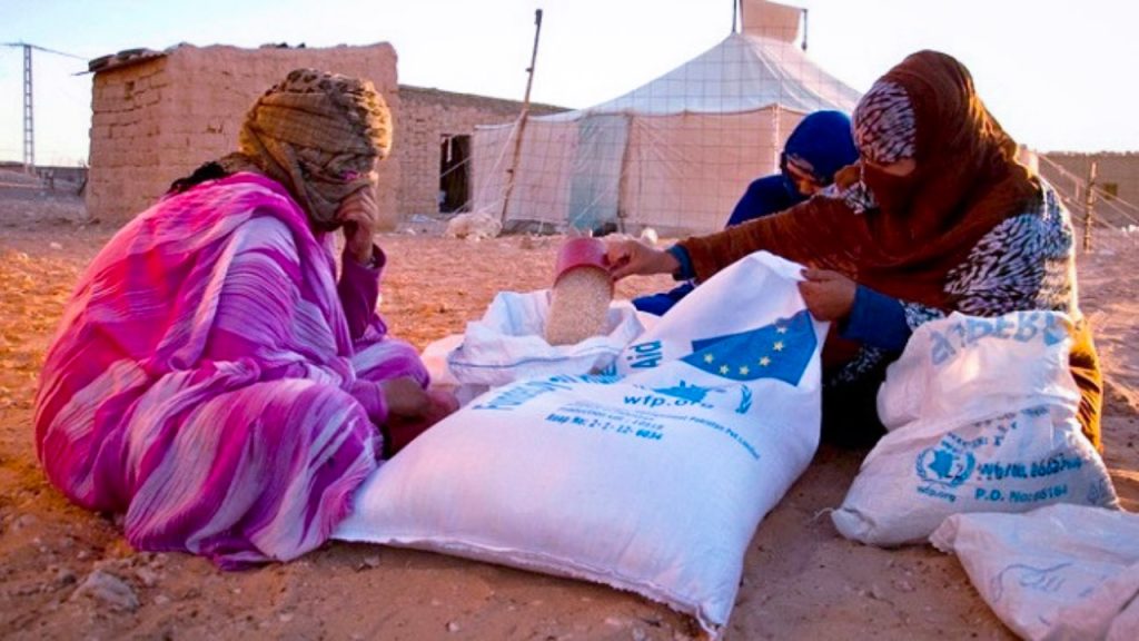 جريدة الاخبار 24 % - ما هو دور المجتمع الدولي في التحقيق ومحاسبة المسؤولين عن انتهاكات حقوق الإنسان في مخيمات تندوف؟