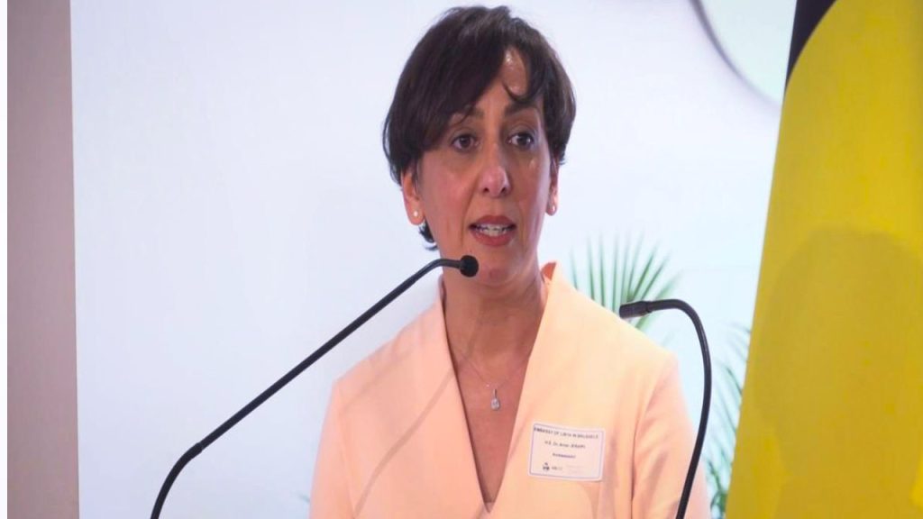 جريدة الاخبار 24 % - فضيحة الفساد والتزوير تلقي بظلالها على سفيرة ليبيا في بروكسل إقالتها واعتقالها يهزان الدبلوماسية العالمية