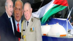 جريدة الاخبار 24 % - لماذا رفضت الجزائر المشاركة في قمة السلام بالقاهرة ؟ هل تأثير صفقات الغاز مع إسرائيل؟