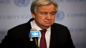 جريدة الاخبار 24 % - حل الدولتين الأساس الوحيد للسلام والاستقرار في الشرق الأوسط