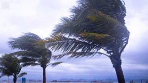 جريدة الاخبار 24 % - التوقعات للأرصاد الجوية لطقس يوم الاربعاء  بارد نسبيا في الجبال سحب متفرقة 