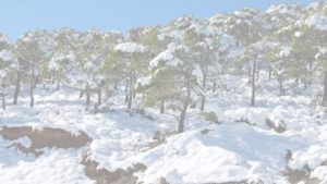 جريدة الاخبار 24 % - حالة الطقس ببعض أقاليم المملكة