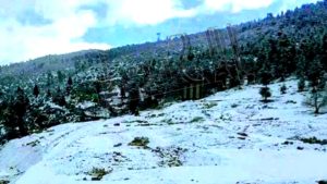 جريدة الاخبار 24 % - توقعات حالة الطقس ليوم الأربعاء بالمملكة