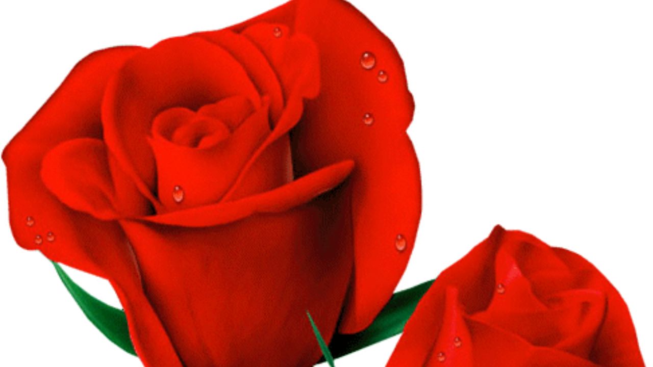 جريدة الاخبار 24 % - الاحتفاء باليوم العالمي للمرأة بقاعة مسرح تازة العليا