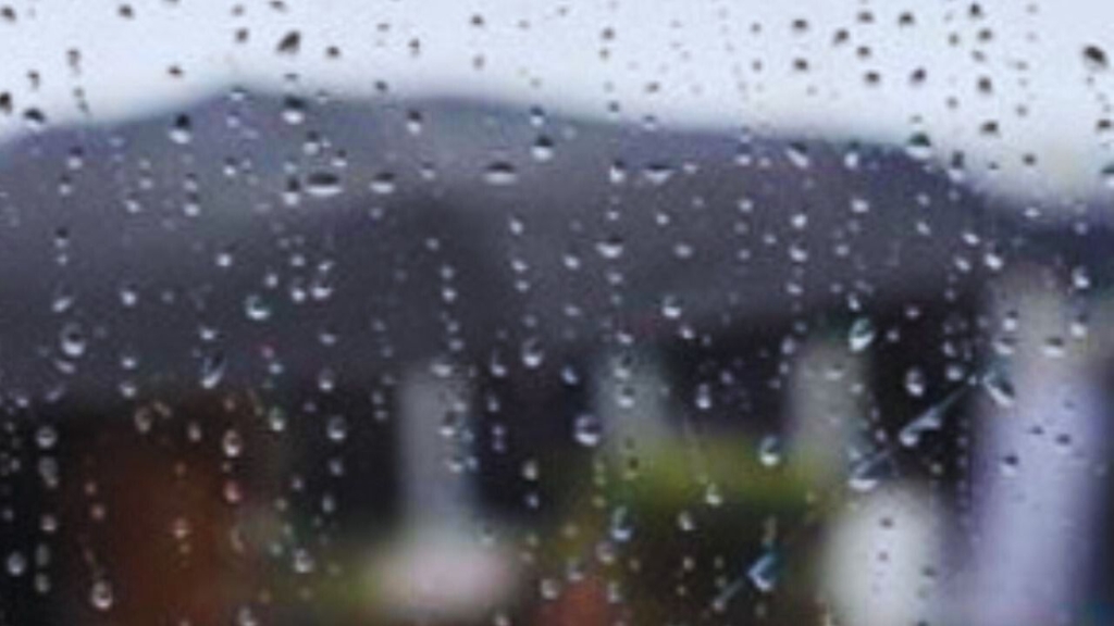 جريدة الاخبار 24 % - توقعات حالة الطقس  بالمملكة