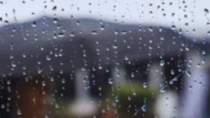 جريدة الاخبار 24 % - توقعات حالة الطقس  بالمملكة