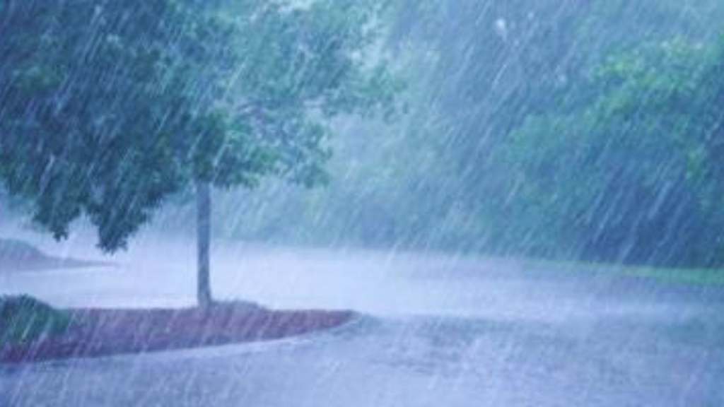 مقاييس الأمطار خلال 24 ساعة الماضية بالمملكة - 2026 جريدة الاخبار 24 % - مقاييس الأمطار خلال 24 ساعة الماضية بالمملكة