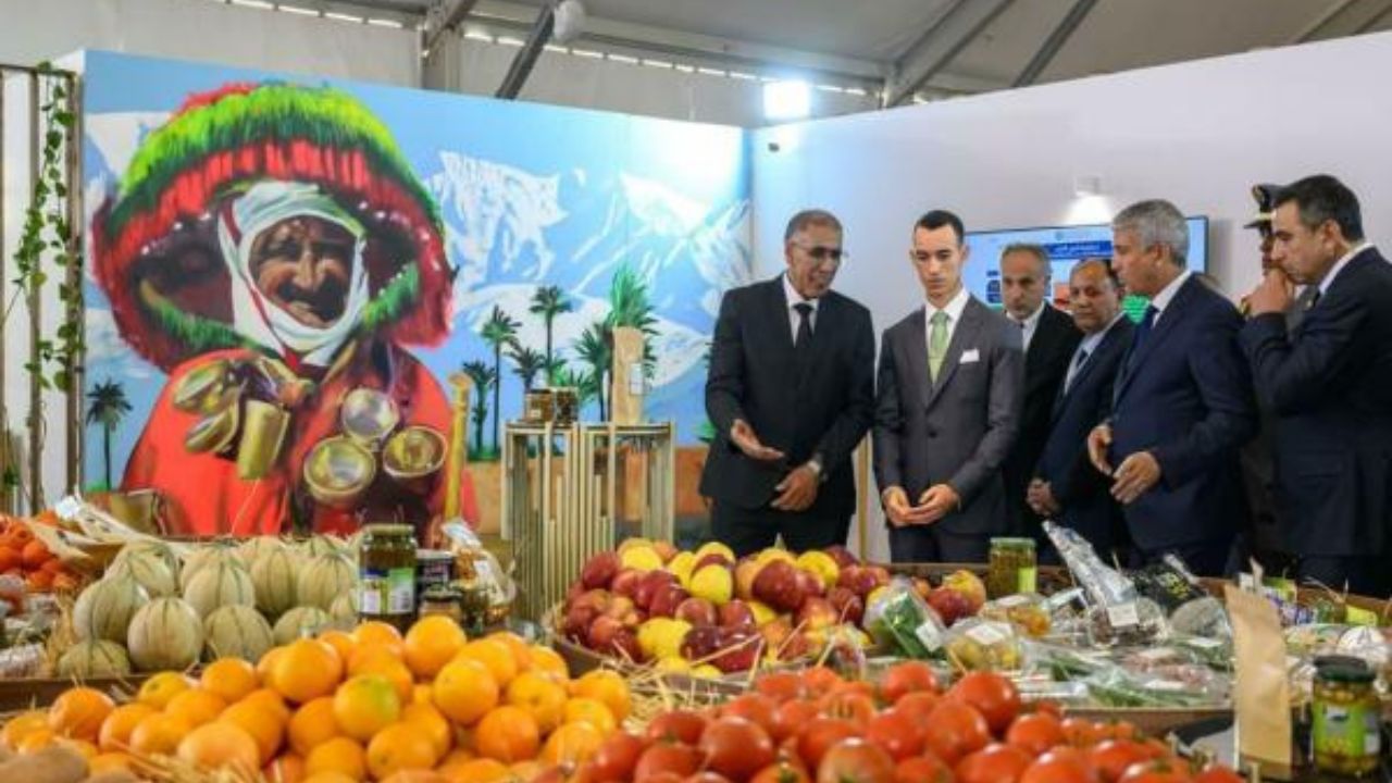 جريدة الاخبار 24