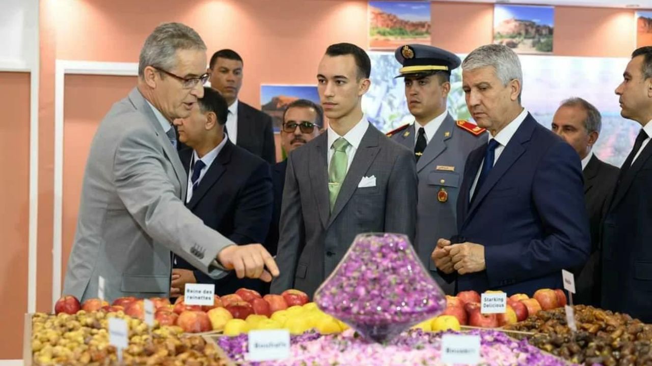 جريدة الاخبار 24