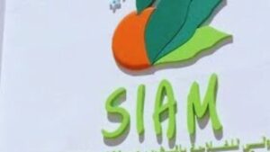 جريدة الاخبار 24 % - المغرب يستضيف الملتقى الدولي للفلاحة بمشاركة واسعة من الدول والعارضين بمكناس