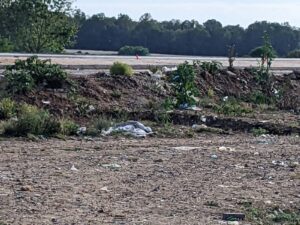 جريدة الاخبار 24 % - شبح البلاستيك وكوكب الأرض