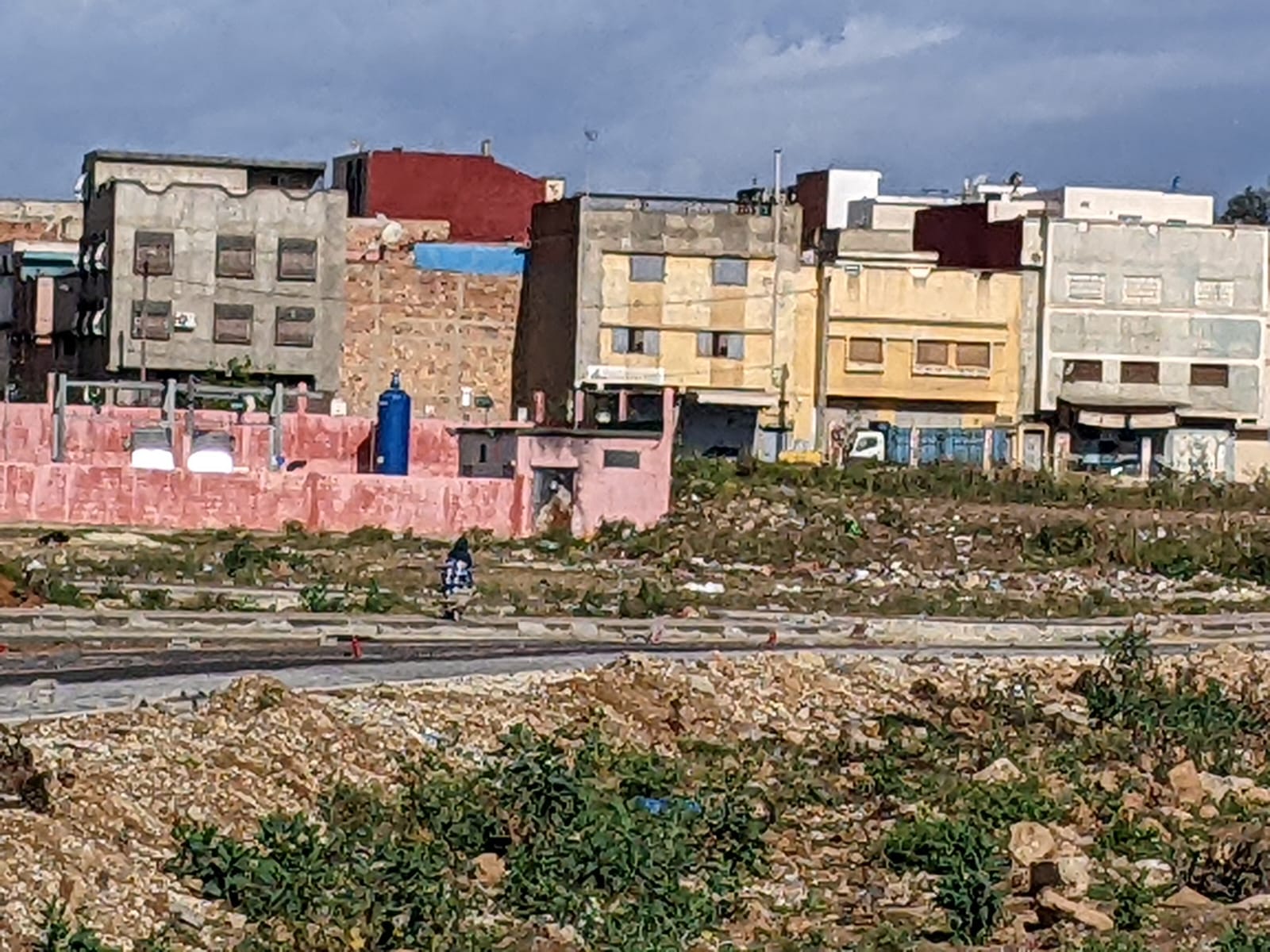 جريدة الاخبار 24 % - شبح البلاستيك وكوكب الأرض