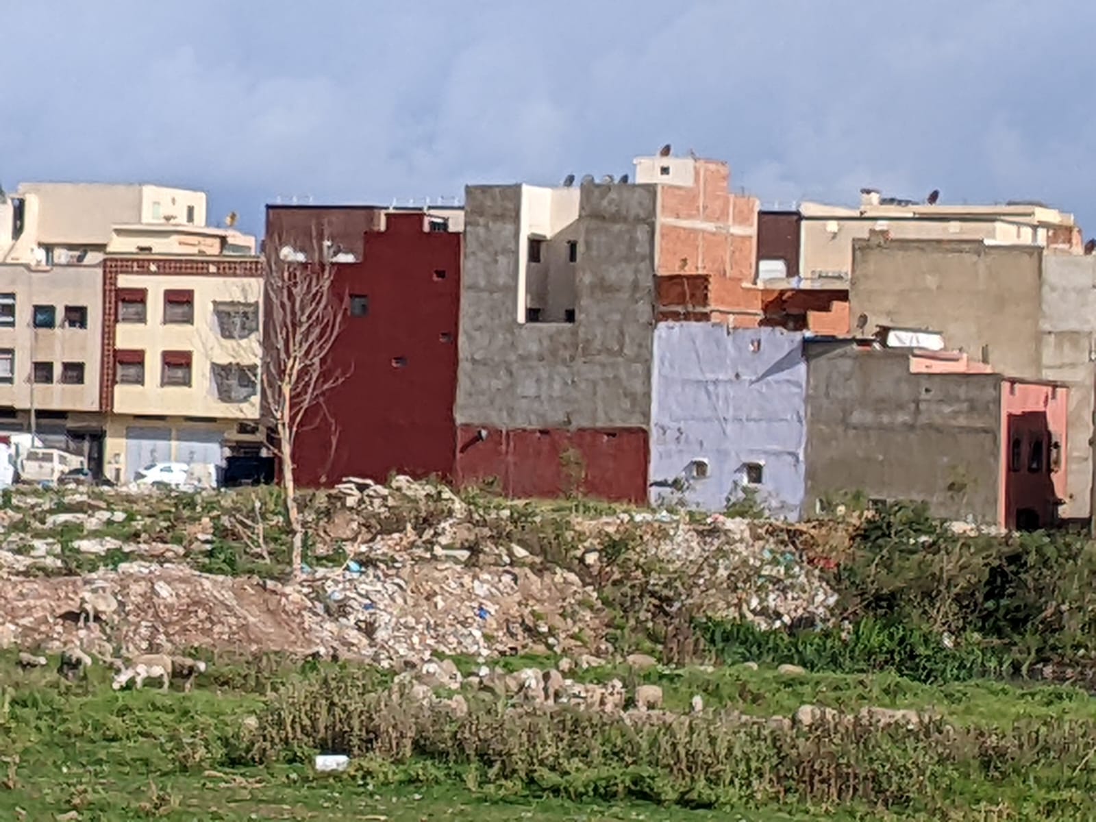 جريدة الاخبار 24 % - شبح البلاستيك وكوكب الأرض