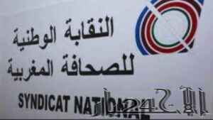 جريدة الاخبار 24 % - تقرير النقابة الوطنية للصحافة ينبه من التهديدات باللجوء للقضاء لمواجهة الصحافيين