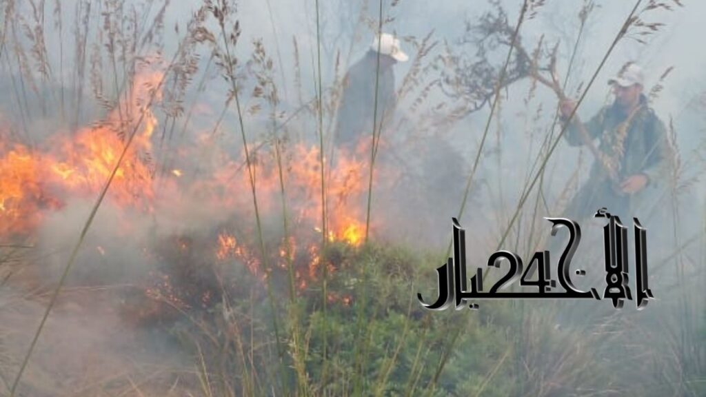 تضافر الجهود لإخماد النيران بغابة مغراوة وسط تحديات طبيعية وتضامن مجتمعي - 2026 جريدة الاخبار 24 % - تضافر الجهود لإخماد النيران بغابة مغراوة وسط تحديات طبيعية وتضامن مجتمعي
