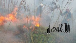 جريدة الاخبار 24 % - تضافر الجهود لإخماد النيران بغابة مغراوة وسط تحديات طبيعية وتضامن مجتمعي