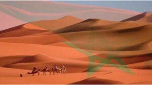 جريدة الاخبار 24 % - غينيا تؤكد دعمها لمبادرة المغرب للحكم الذاتي كحل سياسي للنزاع المفتعل بالصحراء المغربية