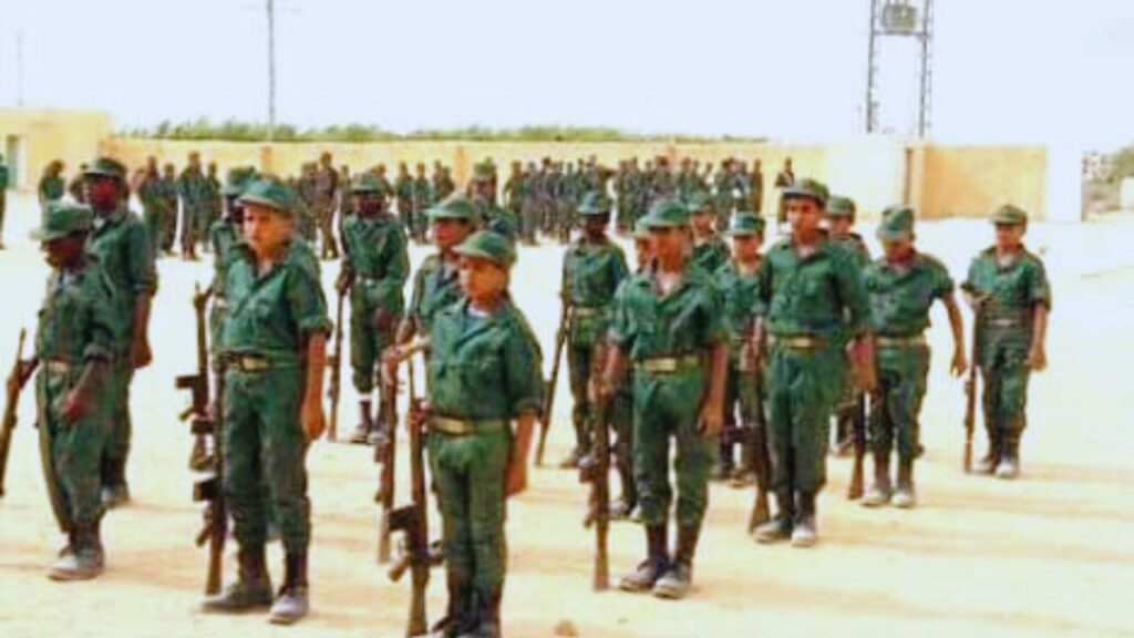 جريدة الاخبار 24 % - مجلس حقوق الانسان بجنيف يسلط الضوء على مصير الاطفال المجندين بمخيمات تندوف