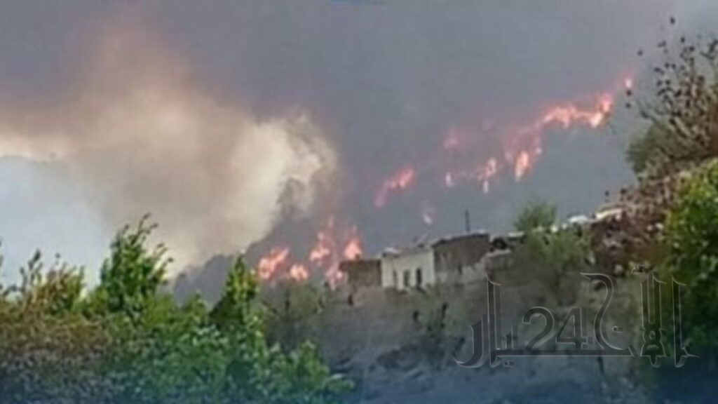 جريدة الاخبار 24 % - السلطات المغربية تواصل جهودها لإخماد الحرائق بغابة بورد إقليم تازة