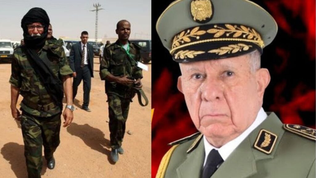 جريدة الاخبار 24 % - مستجدات التدخل الخارجي من إيران وجنوب إفريقيا بالصحراء المغربية