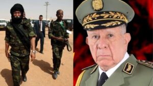 جريدة الاخبار 24 % - مستجدات التدخل الخارجي من إيران وجنوب إفريقيا بالصحراء المغربية