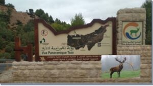 جريدة الاخبار 24 % - من موارد تازة الايكولوجية الجبلية وسؤال خريطة المغرب السياحية الوطنية