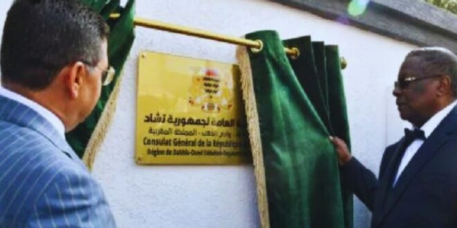 جريدة الاخبار 24