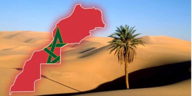 جريدة الاخبار 24