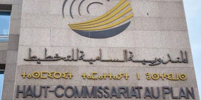 جريدة الاخبار 24