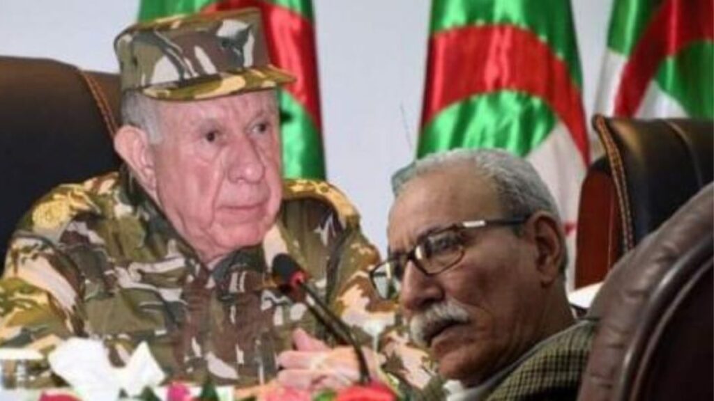 جريدة الاخبار 24 % - فورساتين شهادات صادمة وسجل أسود من الفظائع والانتهاكات بمخيمات تندوف