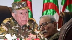 جريدة الاخبار 24 % - فورساتين شهادات صادمة وسجل أسود من الفظائع والانتهاكات بمخيمات تندوف