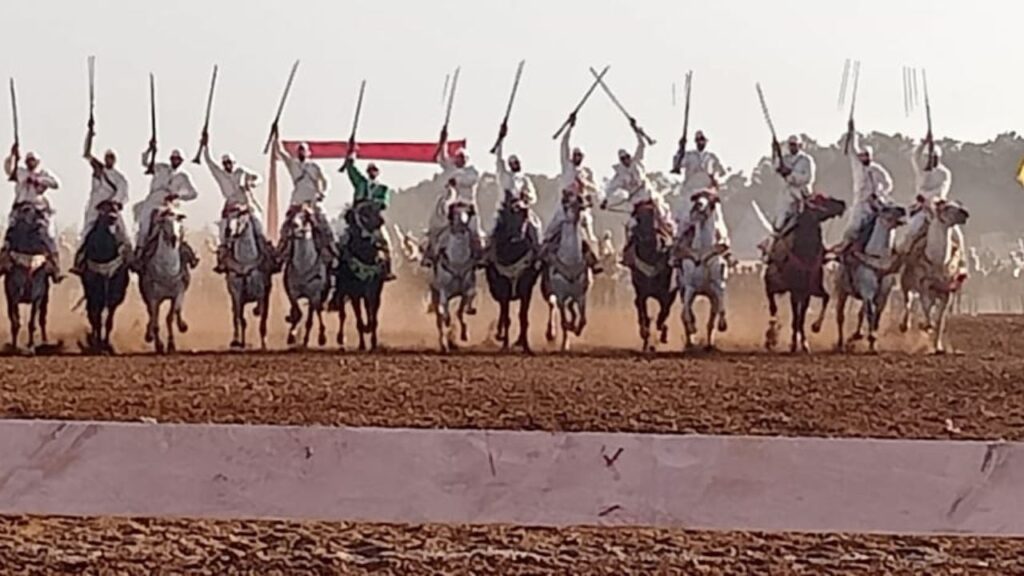 جريدة الاخبار 24 % - مهرجان التراث والتبوريدة إحتفاء بتنوع التقاليد العريقة واستدامة الهوية الثقافية بالقنيطرة