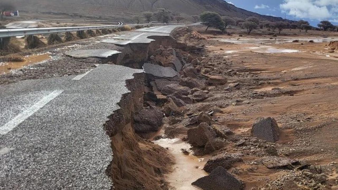 جريدة الاخبار 24