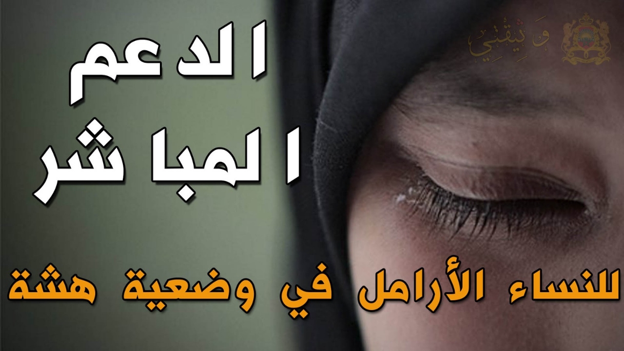 جريدة الاخبار 24