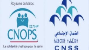 جريدة الاخبار 24 % - توحيد أنظمة التأمين ركيزة أساسية للخدمات الصحية عبر الإصلاحات القانونية والهيكلية