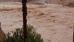 جريدة الاخبار 24 % - حصاد التساقطات المطرية بالمملكة