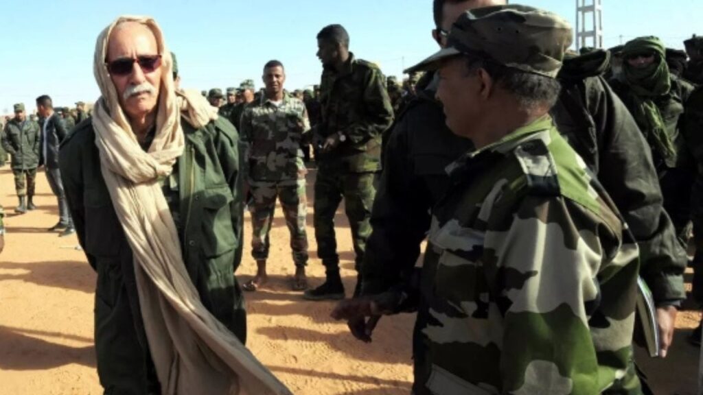 جريدة الاخبار 24 % - كيف تستنزف الموارد الاقتصادية وتأثيرها على مستقبل الجزائر في ظل دعم البوليساريو؟