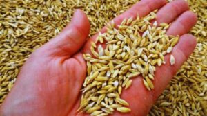 جريدة الاخبار 24 % - إدانة رئيس مركز الاستشارة الفلاحية بتهمة التلاعب بالدعم الفلاحي