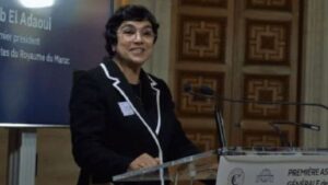 جريدة الاخبار 24 % - زينب العدوي تؤكد على أهمية وجود فصل مؤسساتي واضح بين وظائف المدقق والقاضي