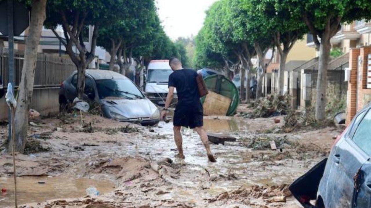 جريدة الاخبار 24