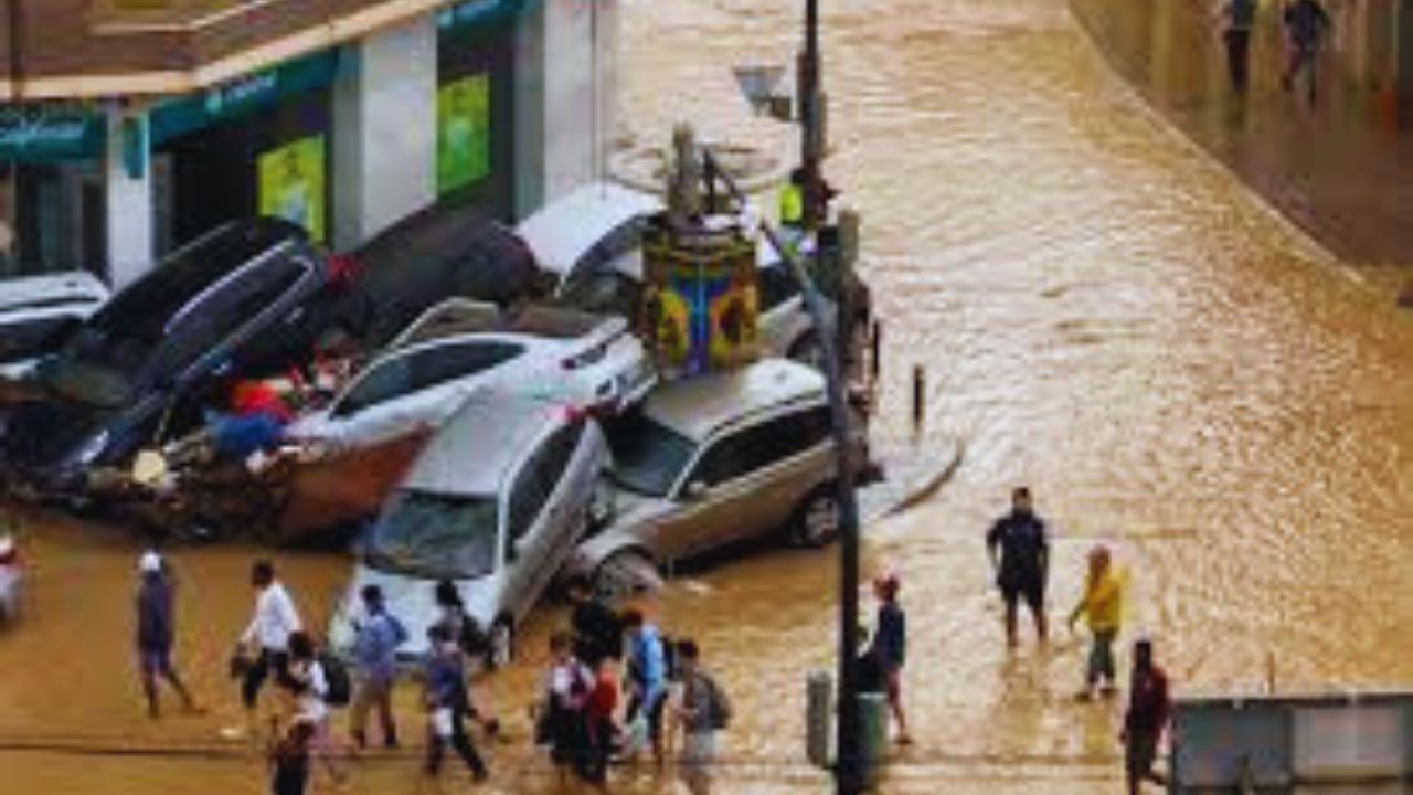 جريدة الاخبار 24