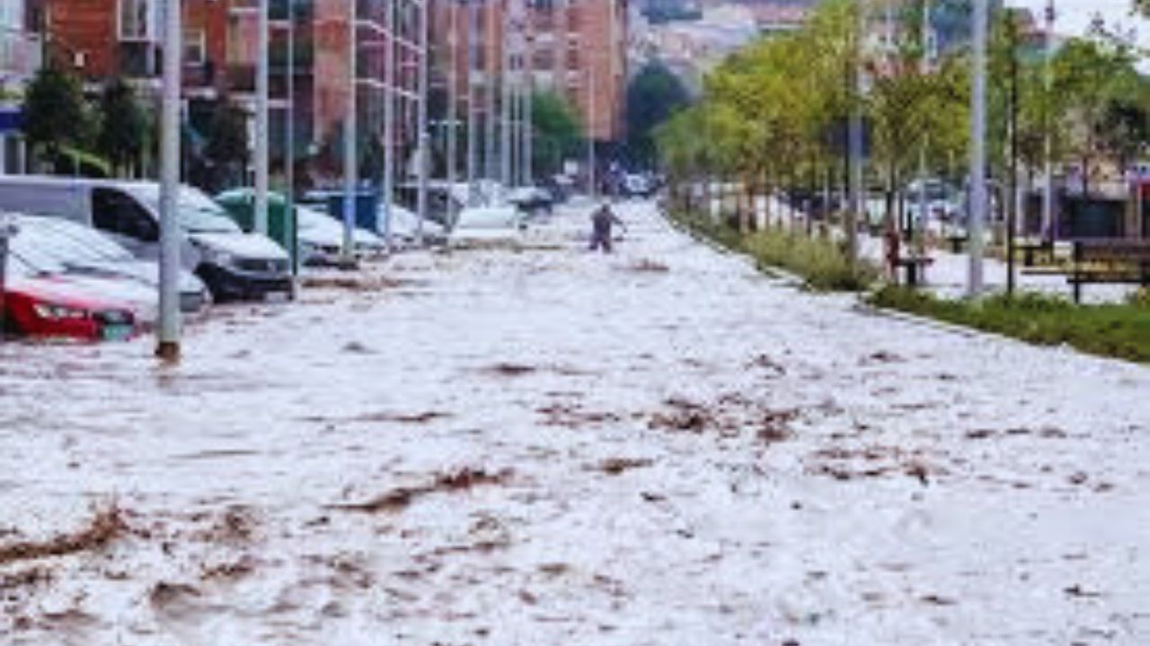 جريدة الاخبار 24