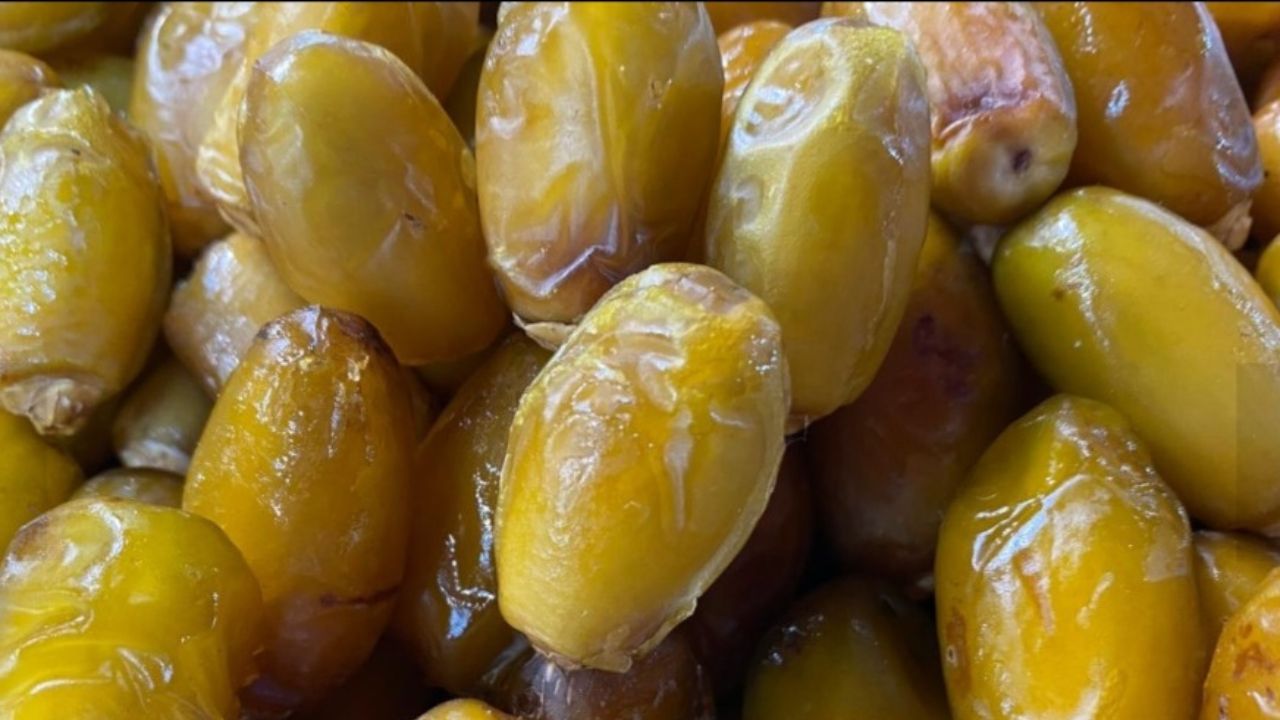 جريدة الاخبار 24 % - تسليط الضوء على أصناف التمور بالملتقى الدولي بأرفود