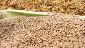 جريدة الاخبار 24 % - مجلس المنافسة ارتفاع الأسعار وضعف الجودة يبرز اختلالات بسوق الأعلاف المركبة