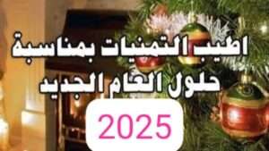 جريدة الاخبار 24 % - جريدة الأخبار 24 تتمنى لكم سنة سعيدة